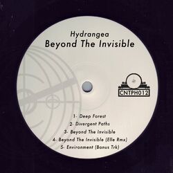 Cover of Beyond The Inviible