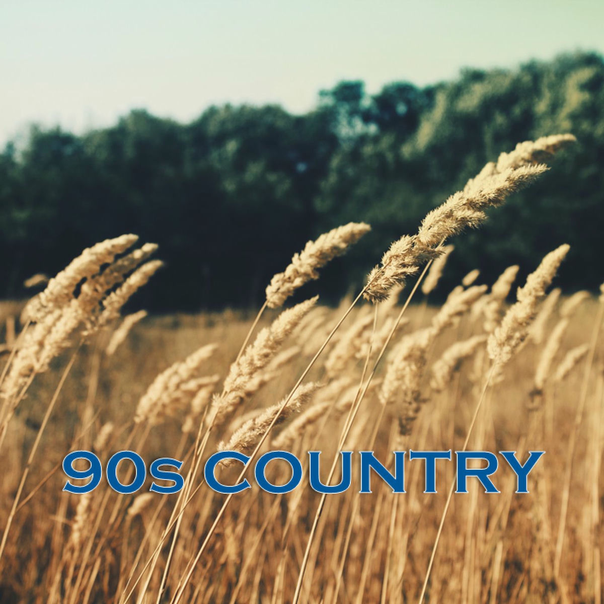 Album cover of 90s Country