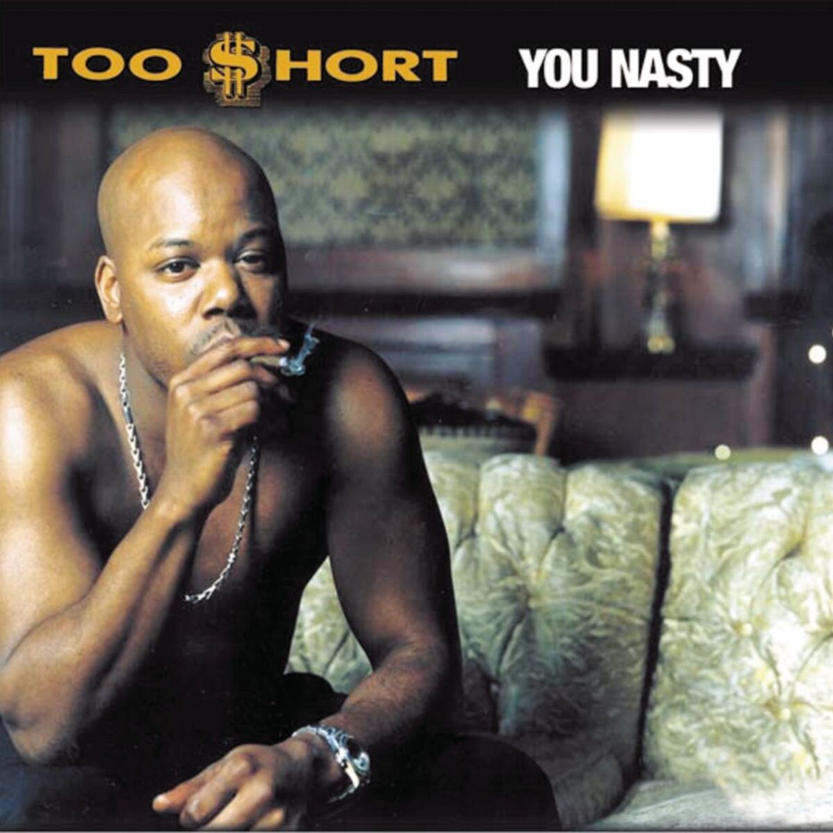 Album cover of You Nasty