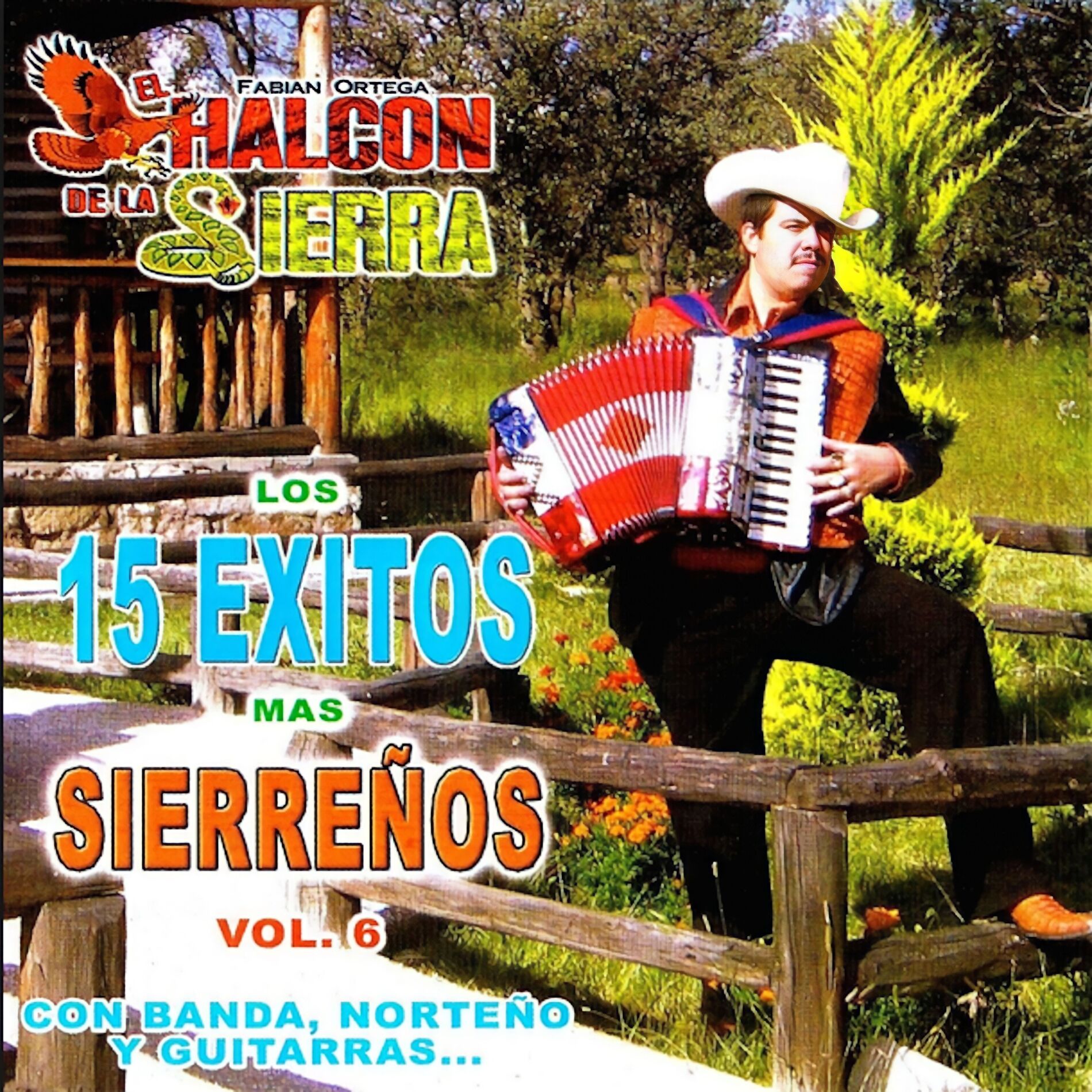 Album cover of Los 15 Exitasos Mas Sierreños (Vol. 6)