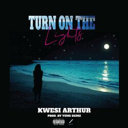 Cover of Turn On The Lights