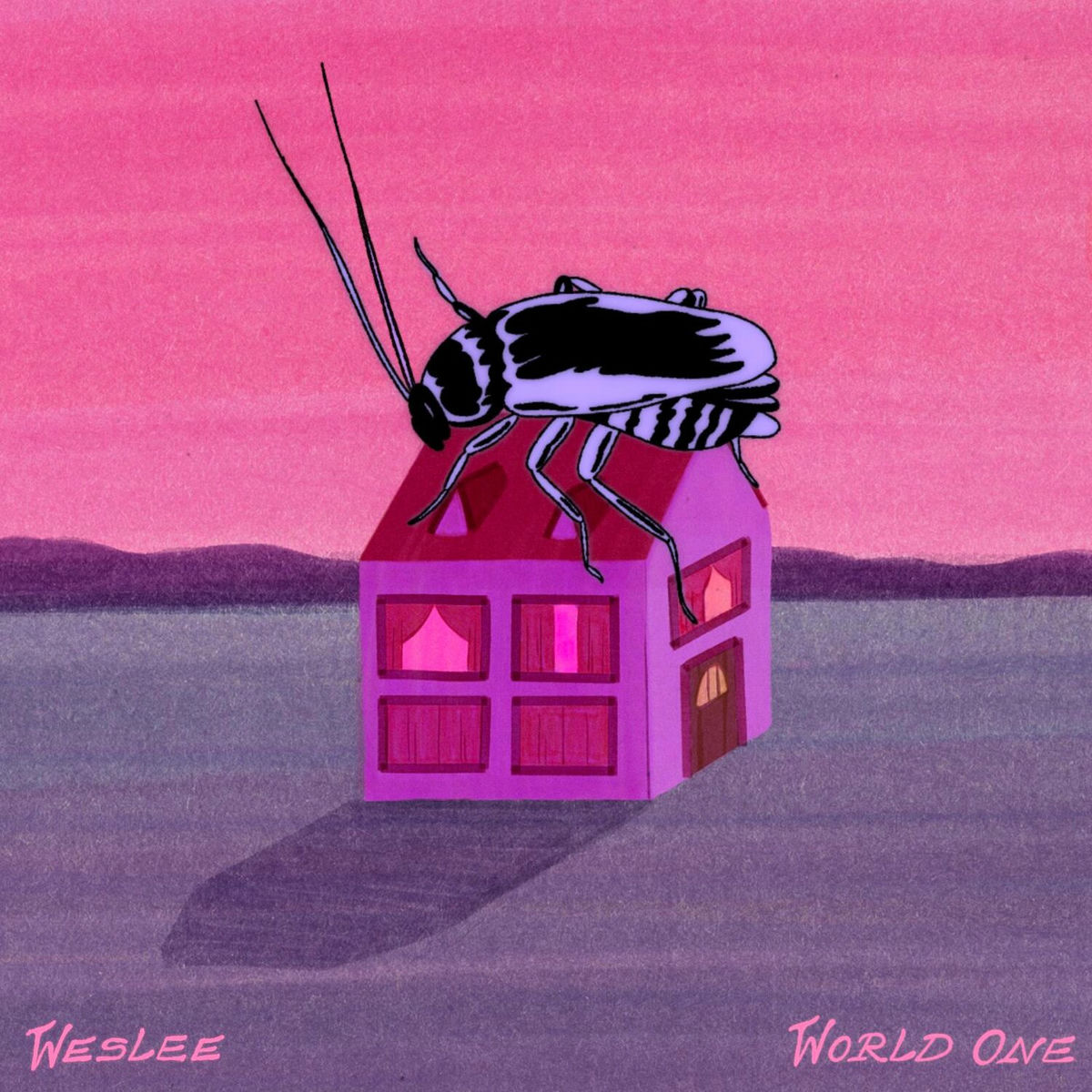 Album cover of Weslee World 1