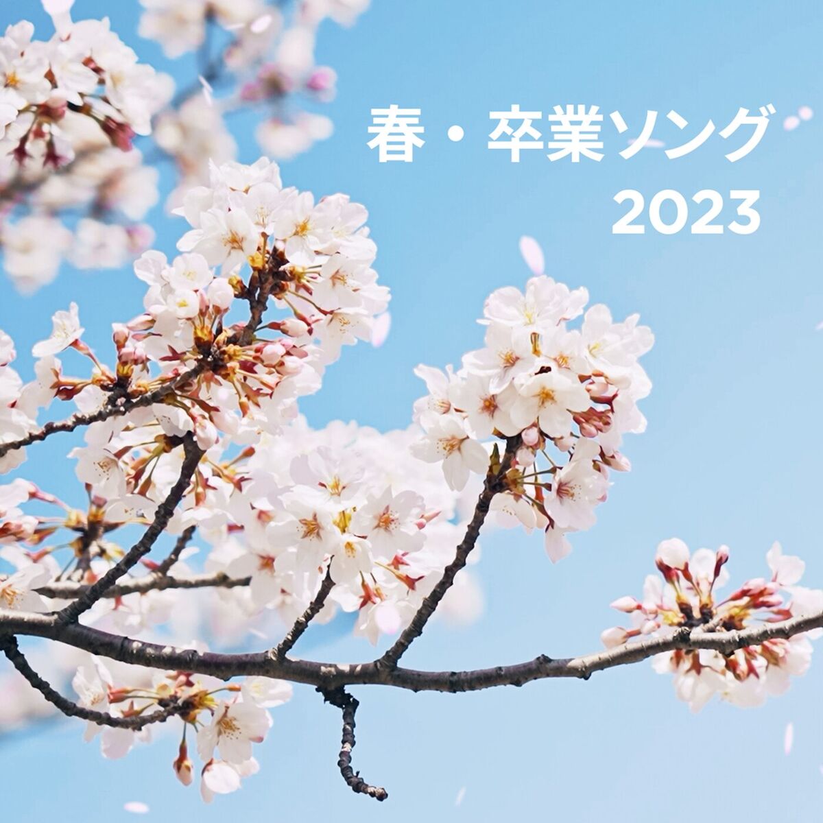 Album cover of Spring - Graduation 2023