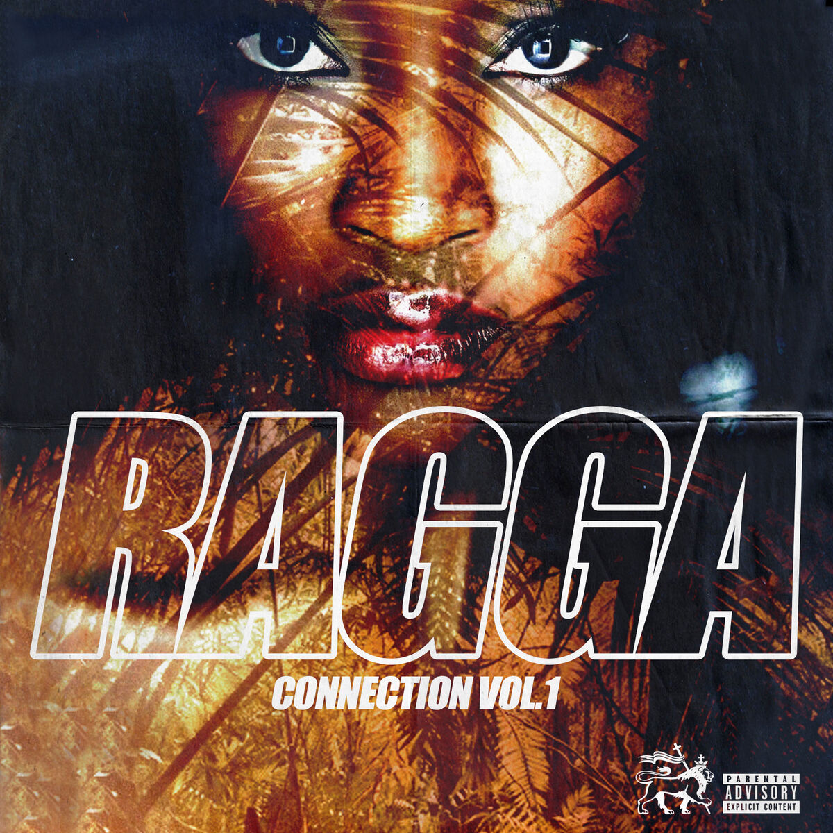 Album cover of The Wig