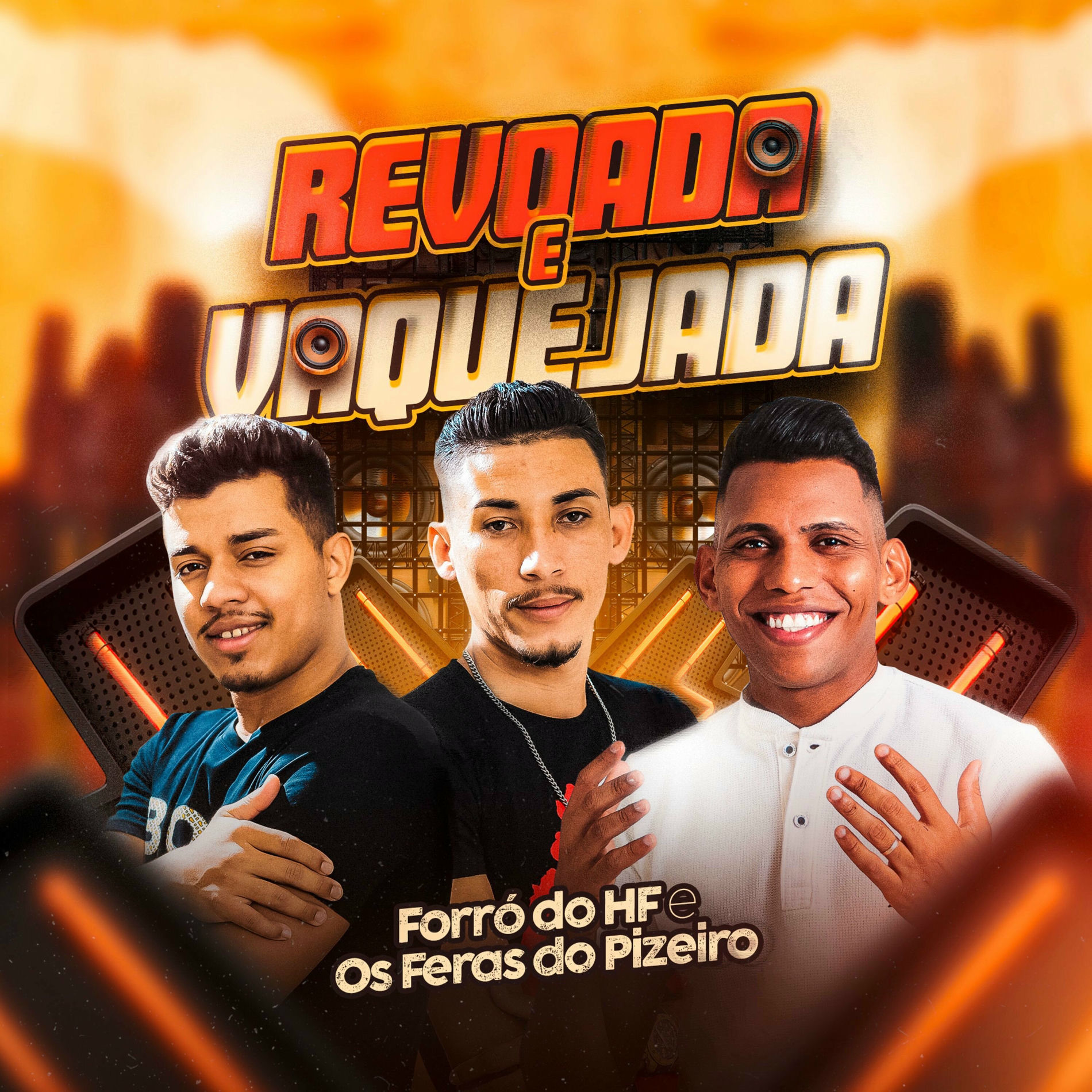 Album cover of Revoada e Vaquejada