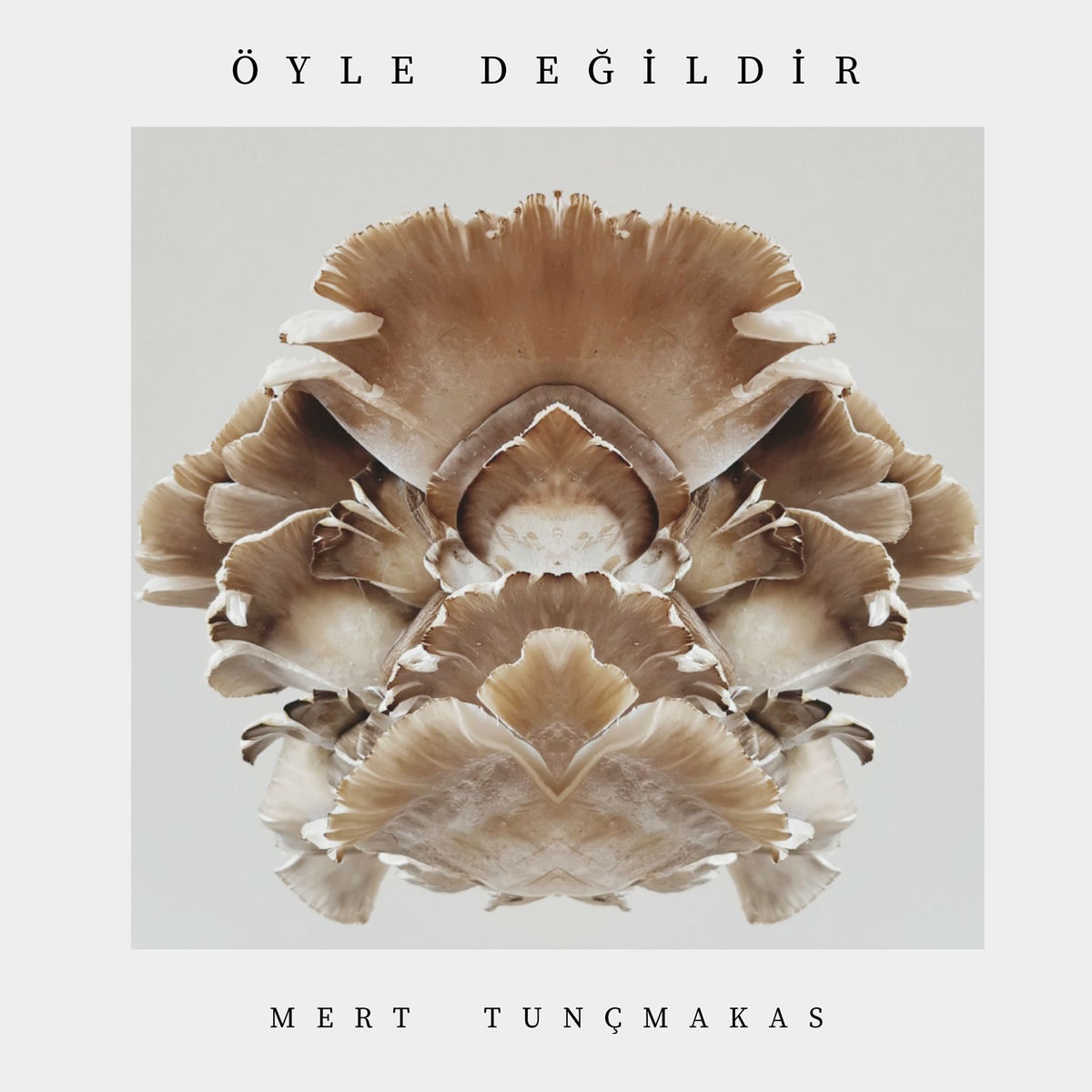 Album cover of Öyle Değildir