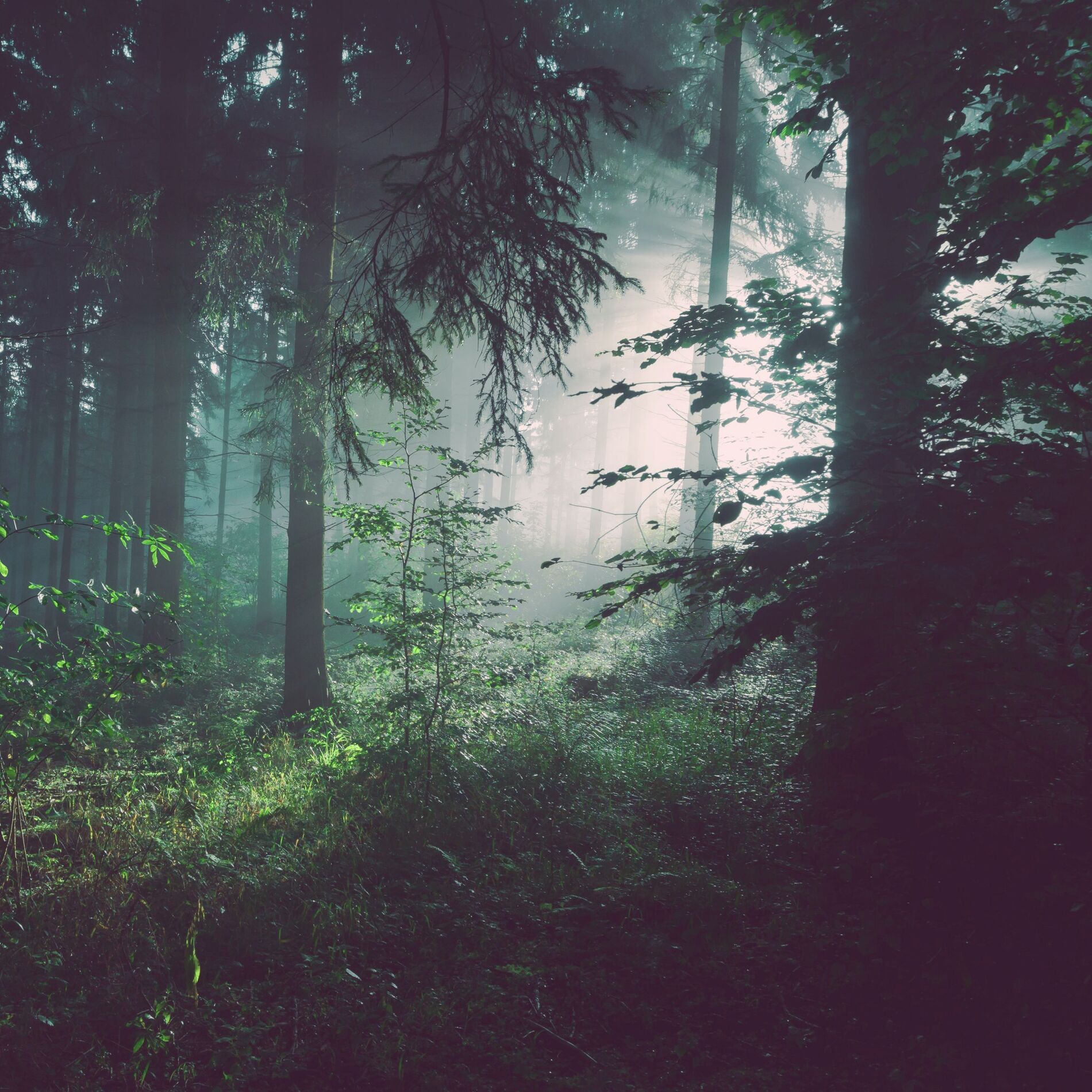 Album cover of Lost