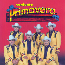 Cover of Ansia De Amar