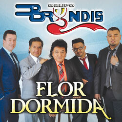 Cover of Flor Dormida
