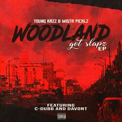 Cover of Woodland Got Slapz