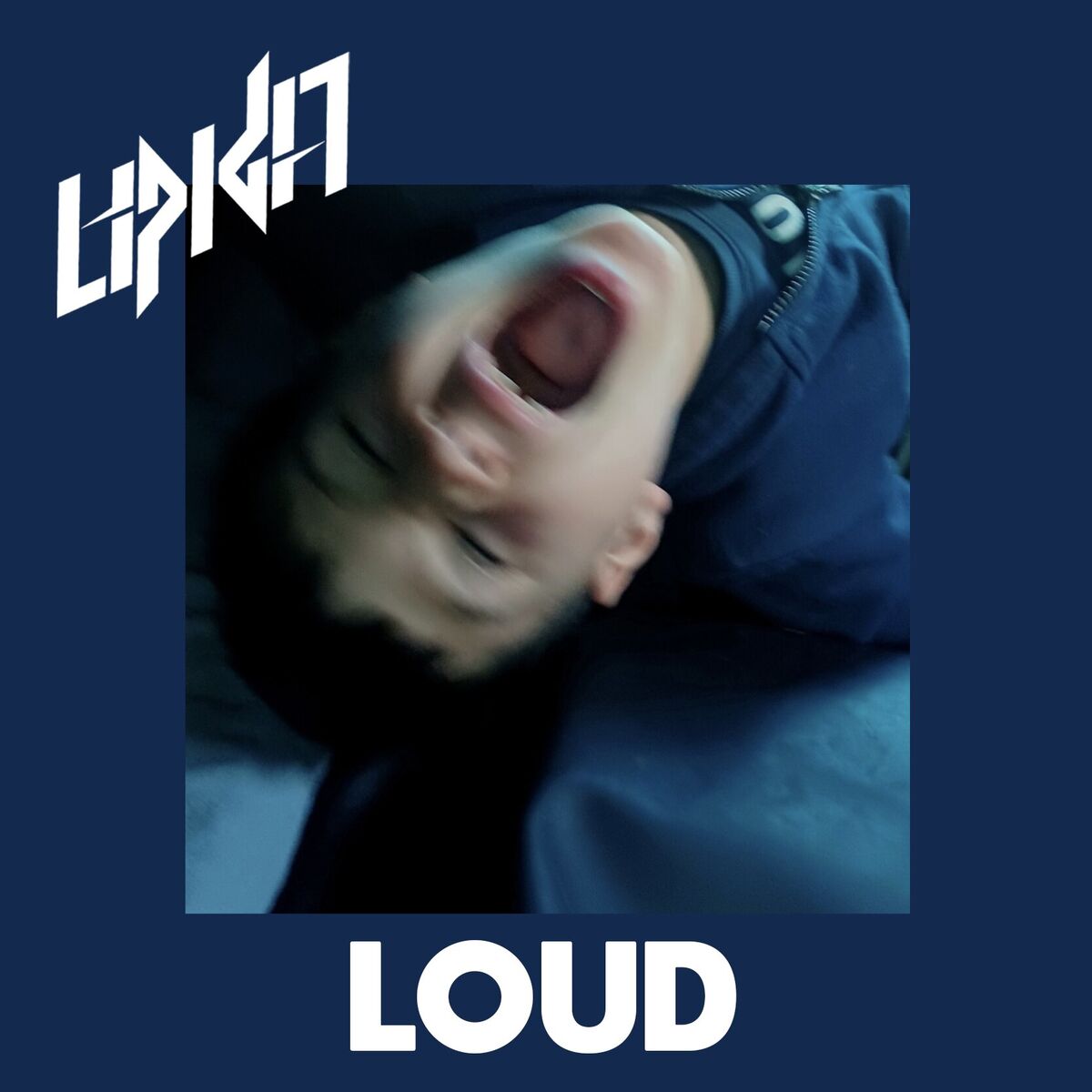 Album cover of Loud (Radio Edit)