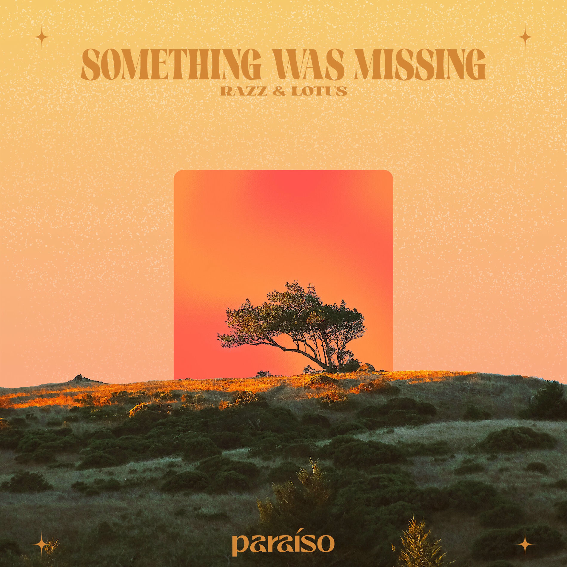 Album cover of Something Was Missing
