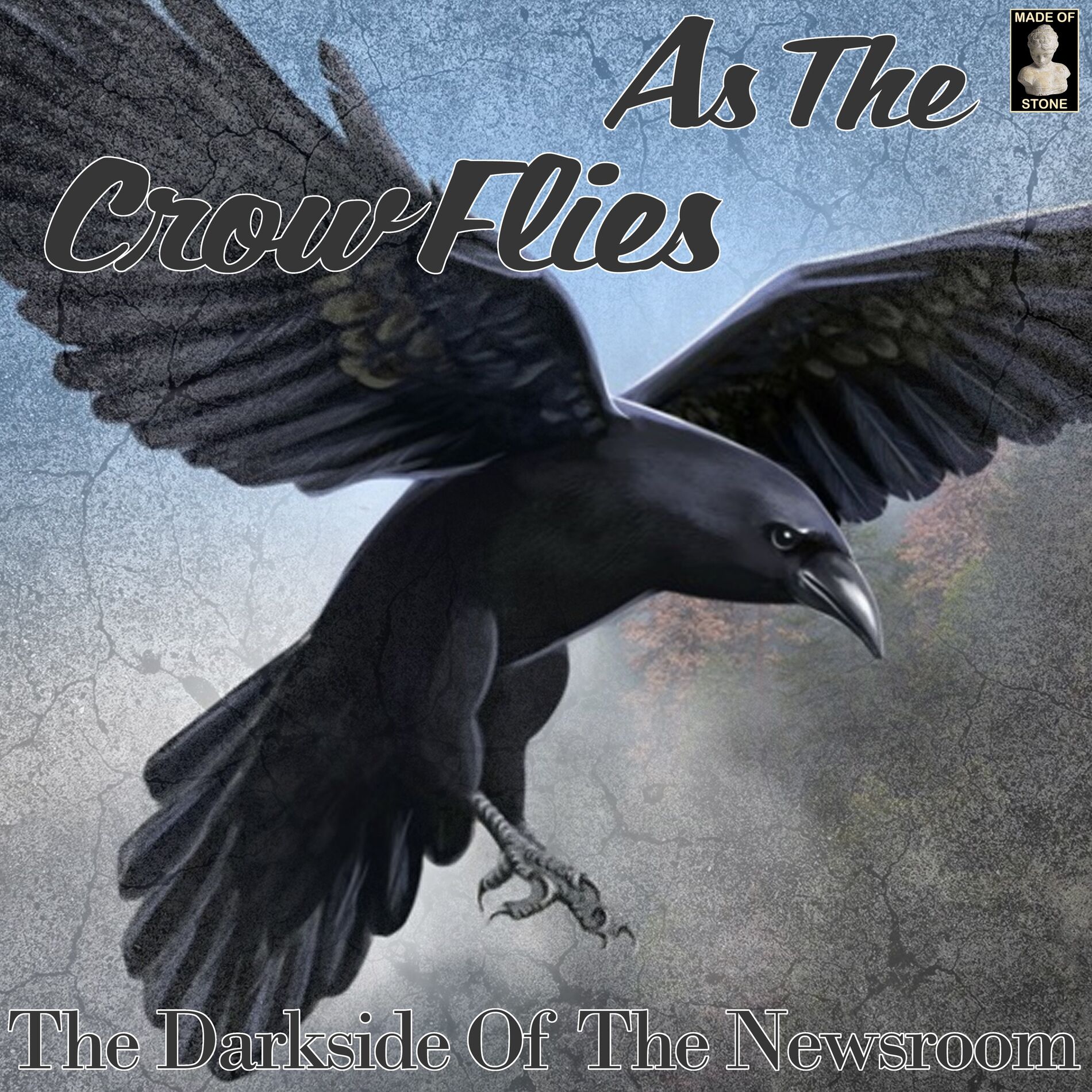 Album cover of As The Crow Flies: The Darkside Of The Newsroom