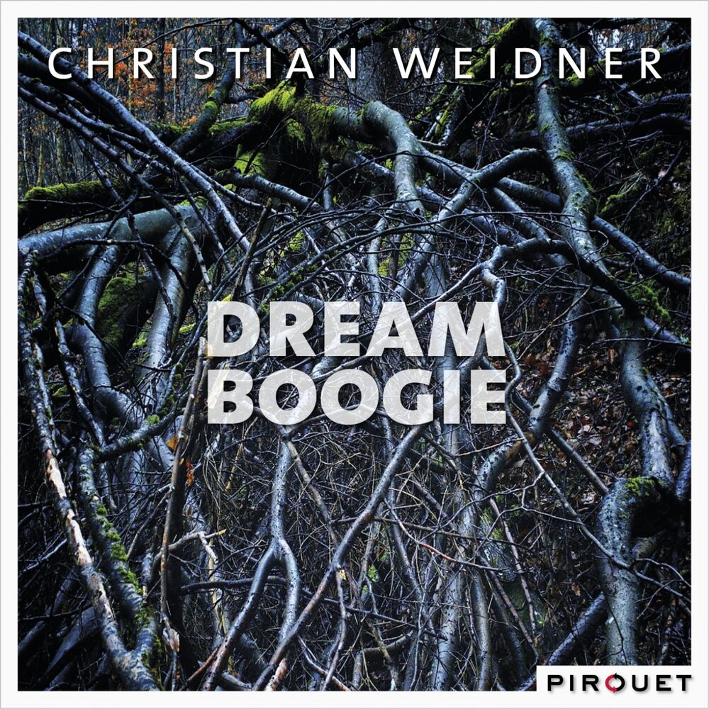 Picture of Dream Boogie