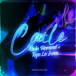 Cover of Caile