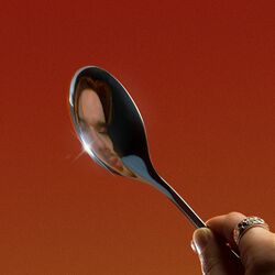 Cover of The Spoon