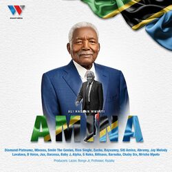 Cover of Amina (Ali Hassan Mwinyi)