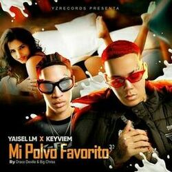Cover of Mi Polvo Favorito