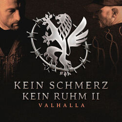 Cover of Kein Schmerz - Kein Ruhm 2