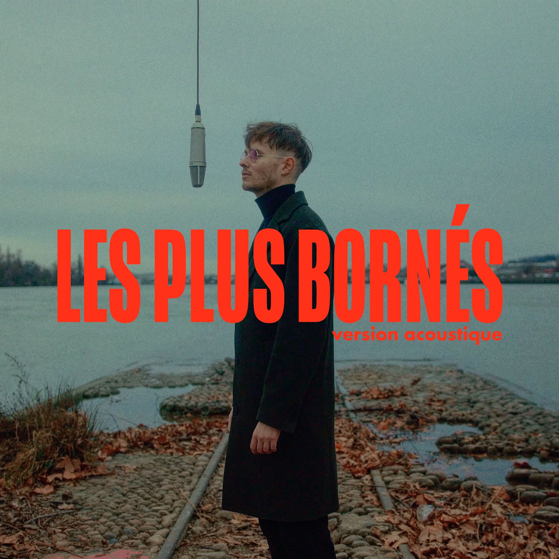 Album cover of Les plus bornés (Version acoustique)