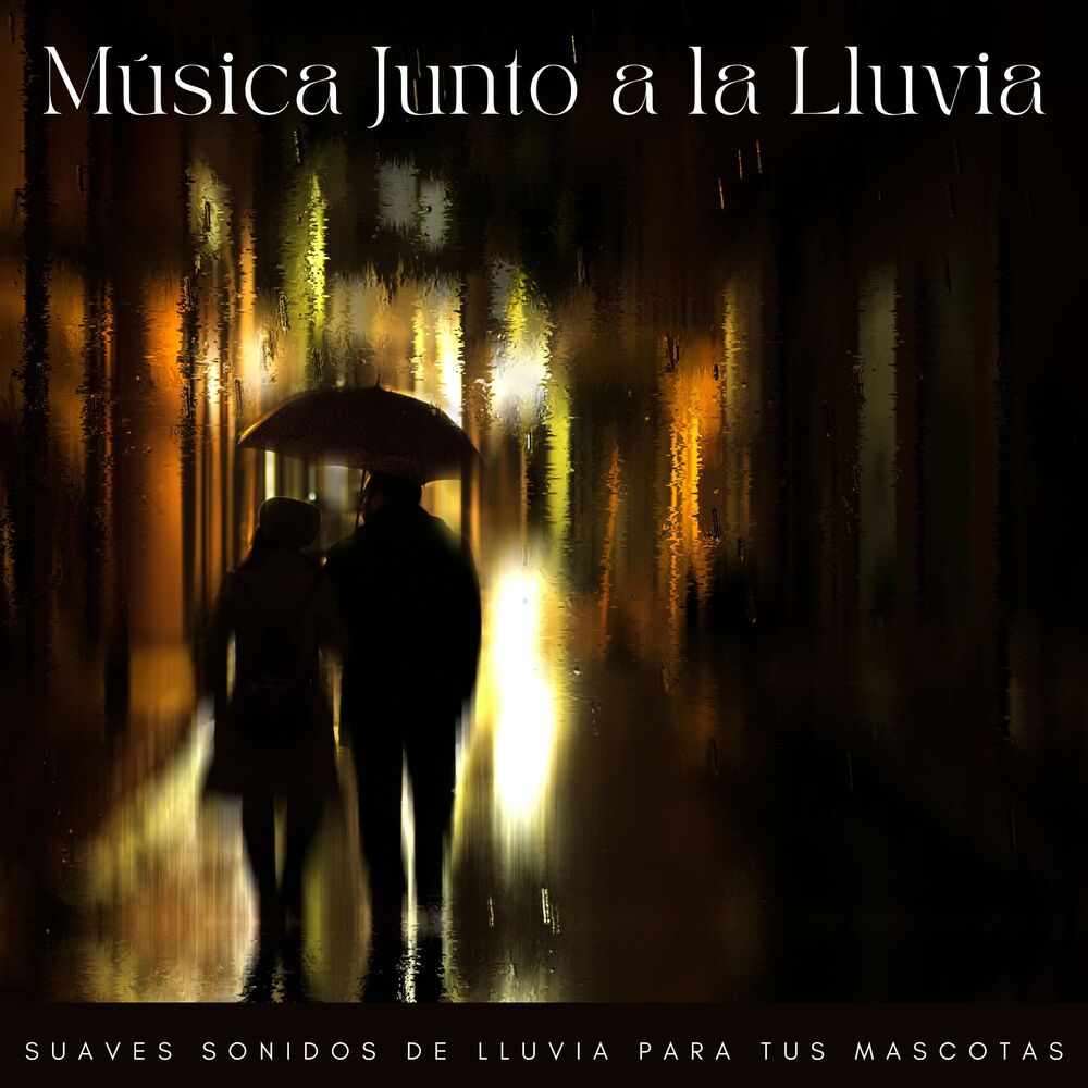Picture of Música Junto A La Lluvia: Suaves Sonidos De Lluvia Para Tus Mascotas