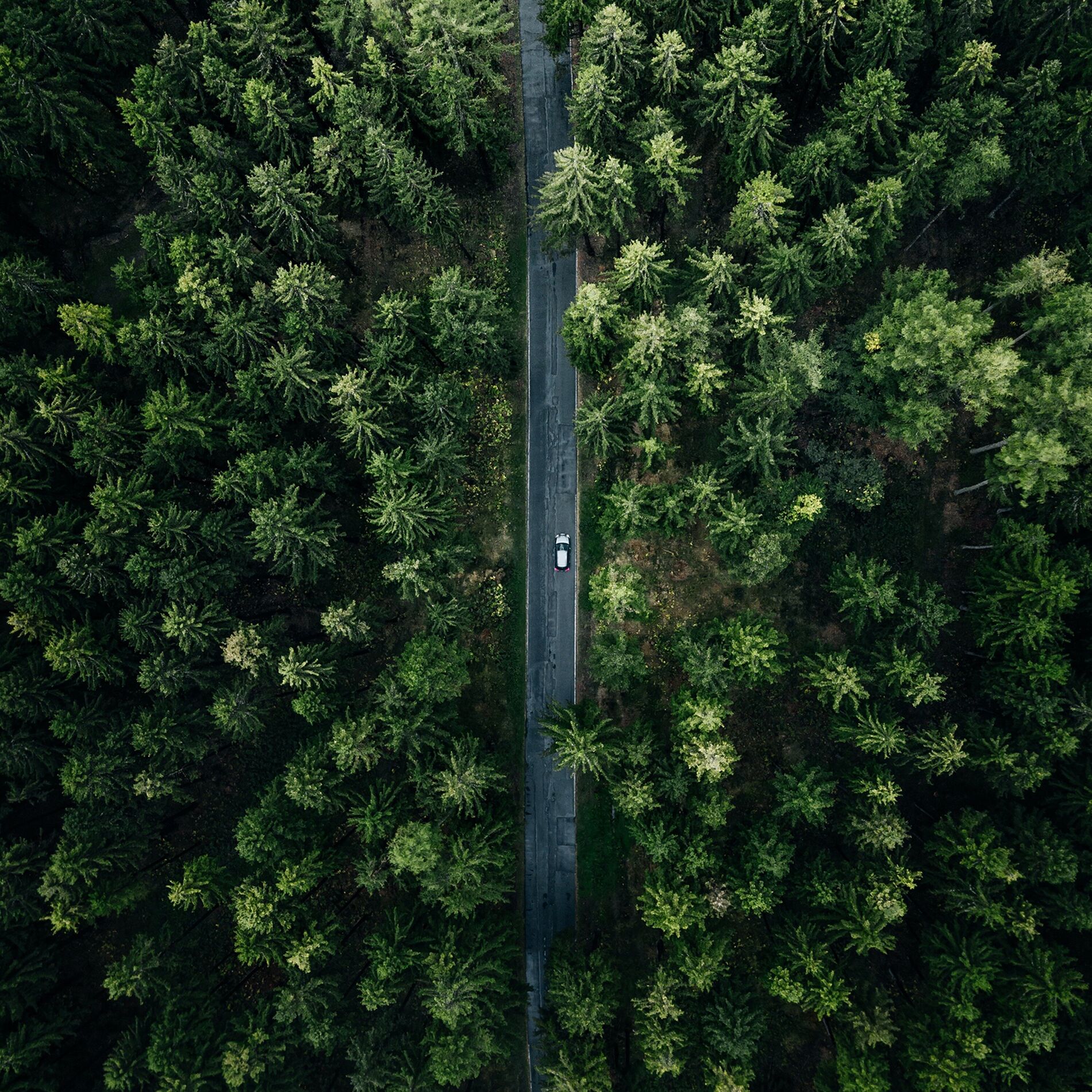 Album cover of Nature