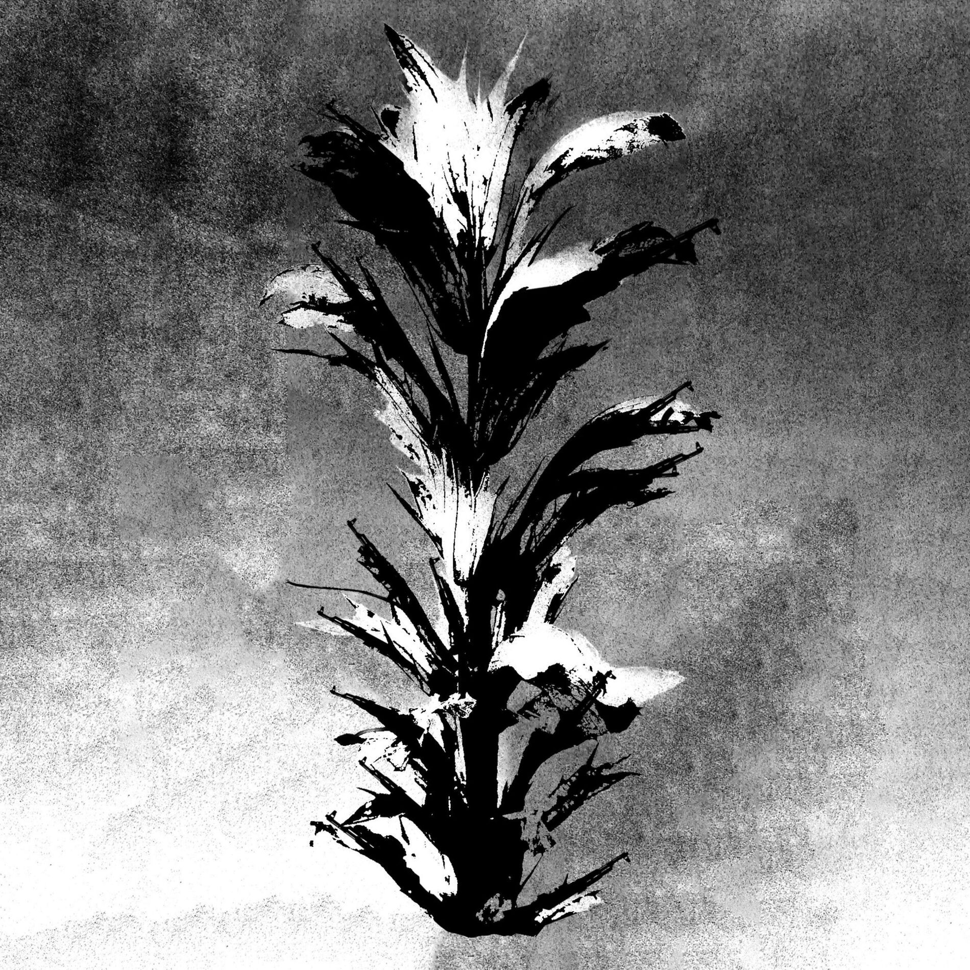 Album cover of BAD SEEDS FROM THE SOUTH Vol. I: Youth Of A Dead Body