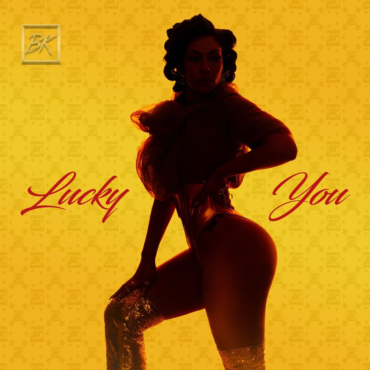 Album cover of Lucky You