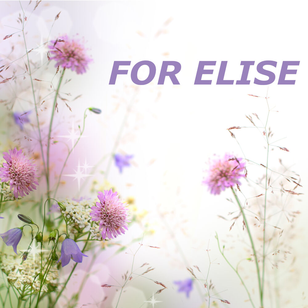 Picture of For Elise