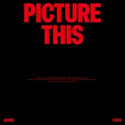 Cover of Picture This