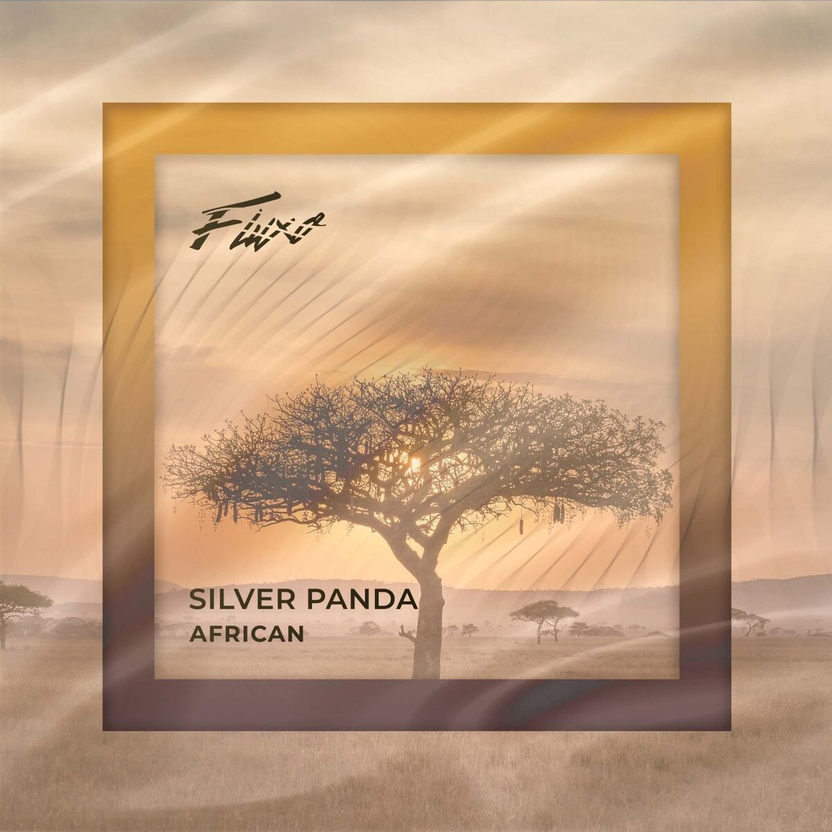 Album cover of African