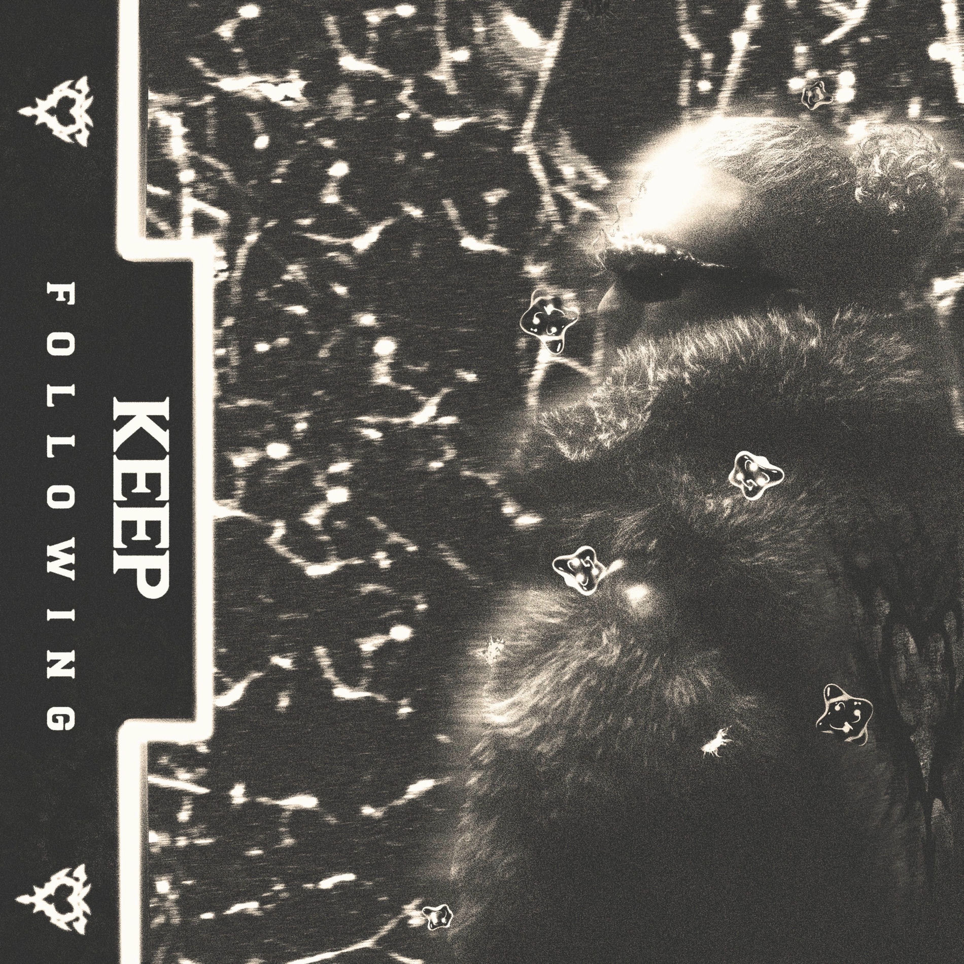 Album cover of KEEP FOLLOWING