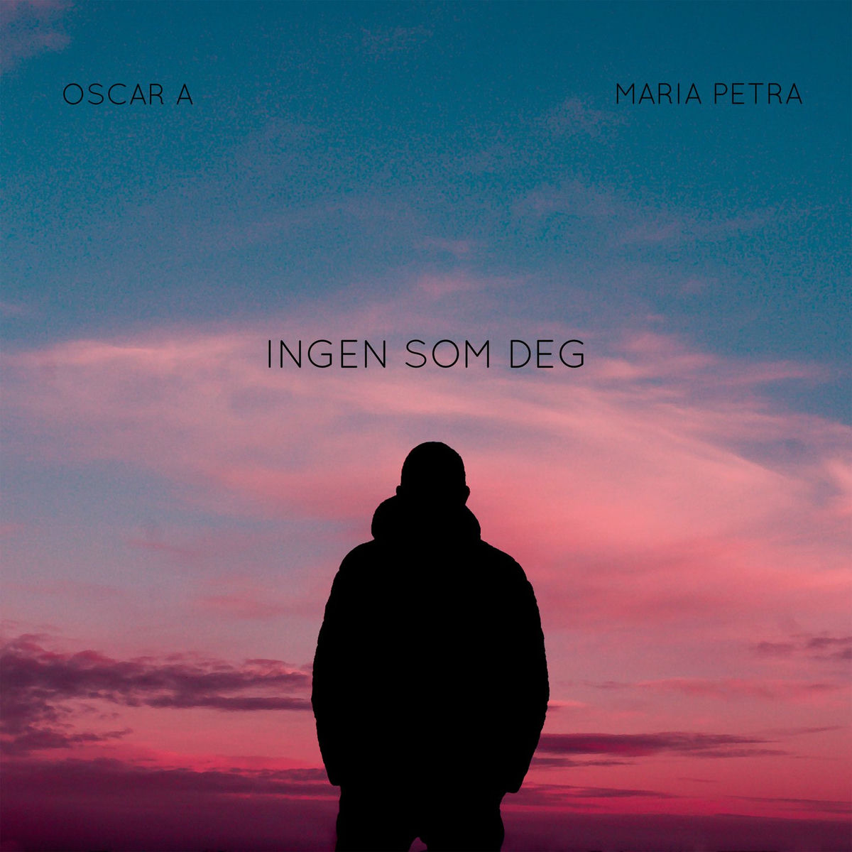 Album cover of Ingen som deg