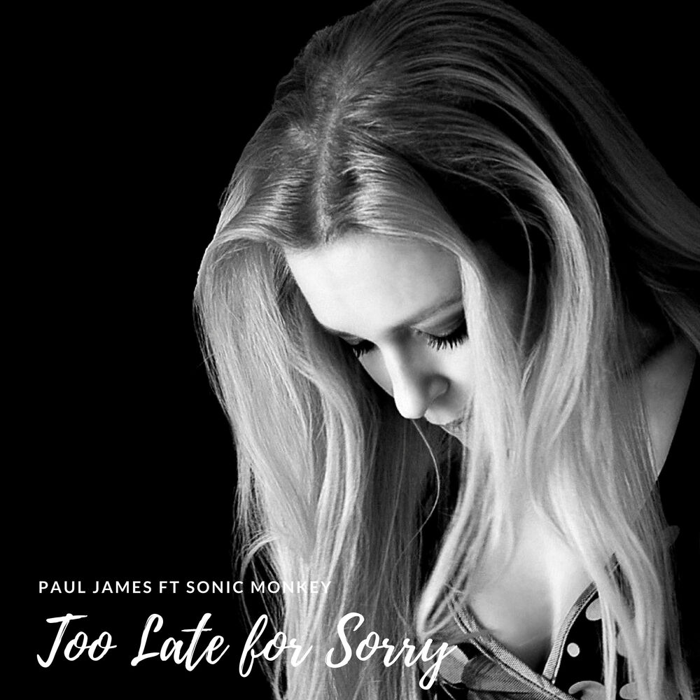 Picture of Too Late for Sorry
