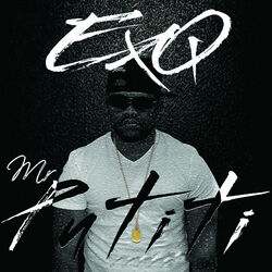 Cover of Mr Putiti