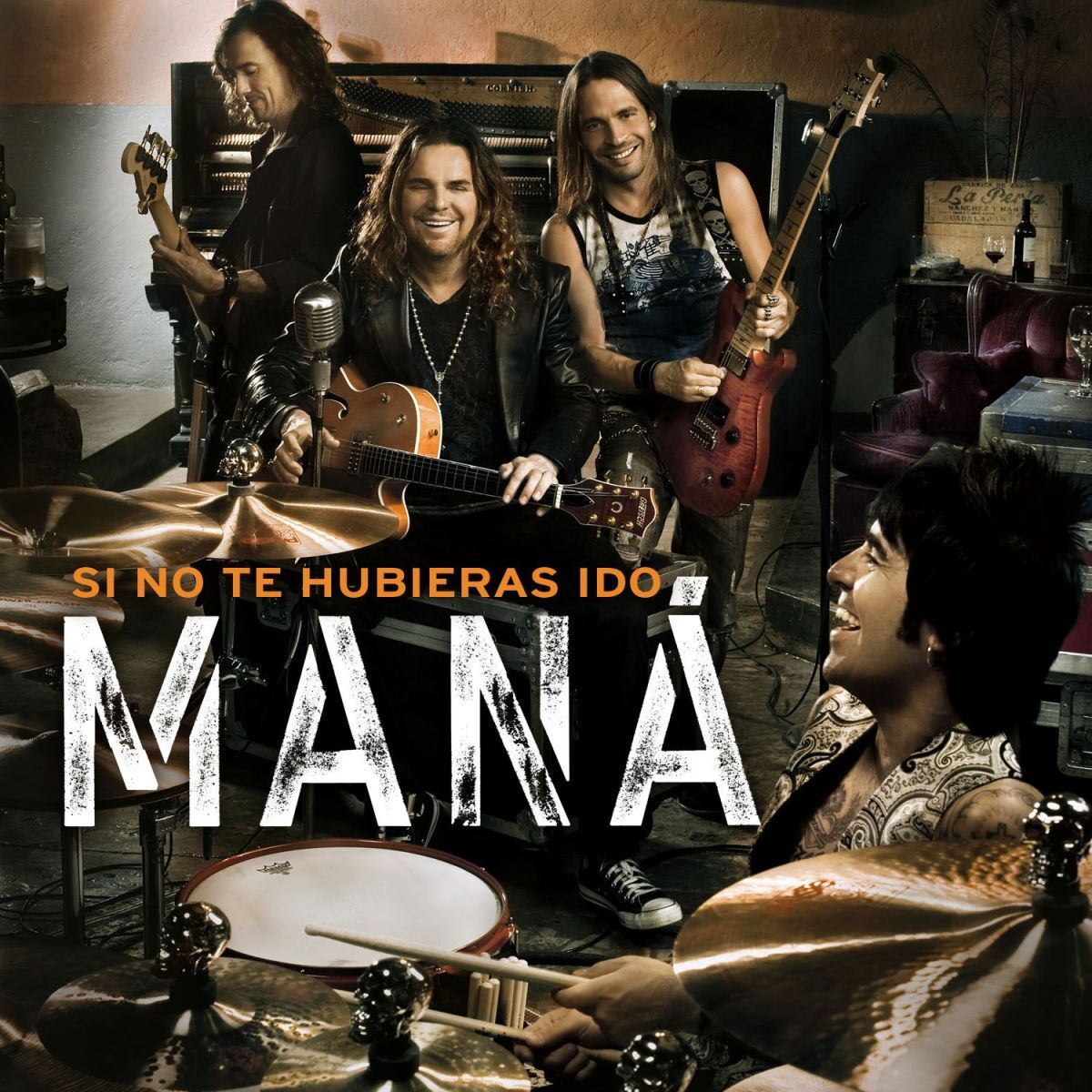 Album cover of Si No Te Hubieras Ido