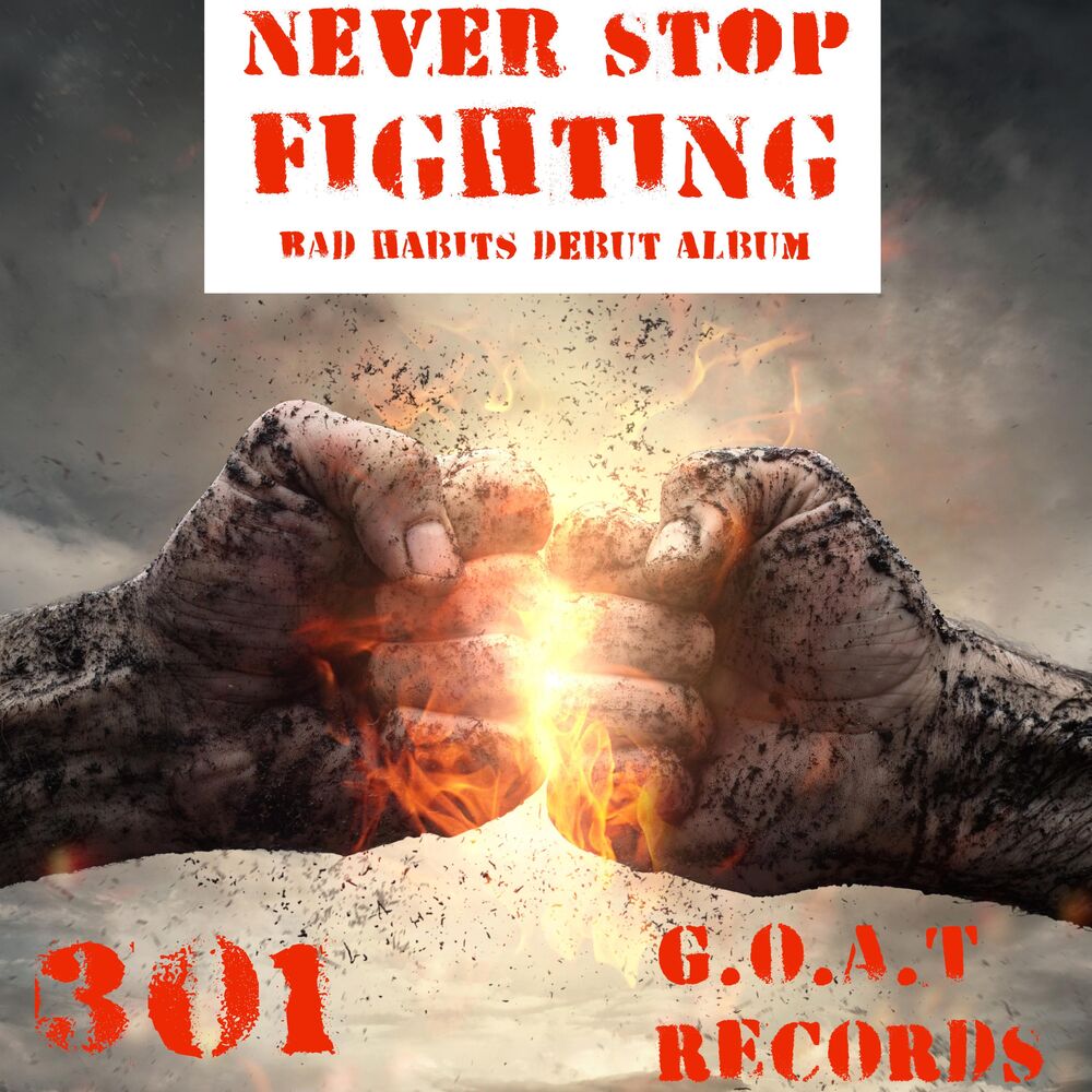 Picture of Never Stop Fighting