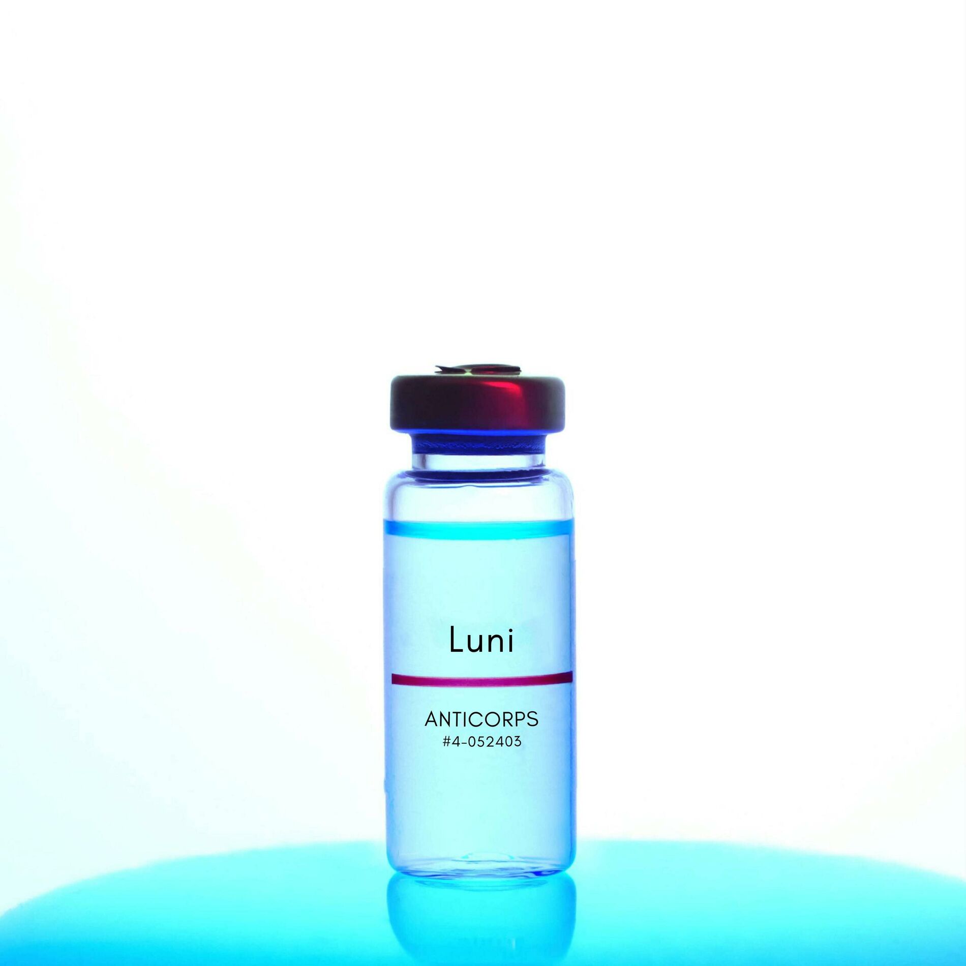 Album cover of ANTICORPS