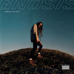 Cover of Gnosis
