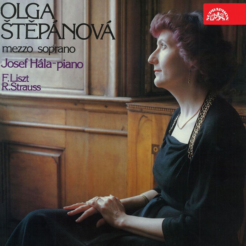 Picture of Olga Štěpánová: Liszt and Strauss
