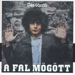 Cover of A fal mögött