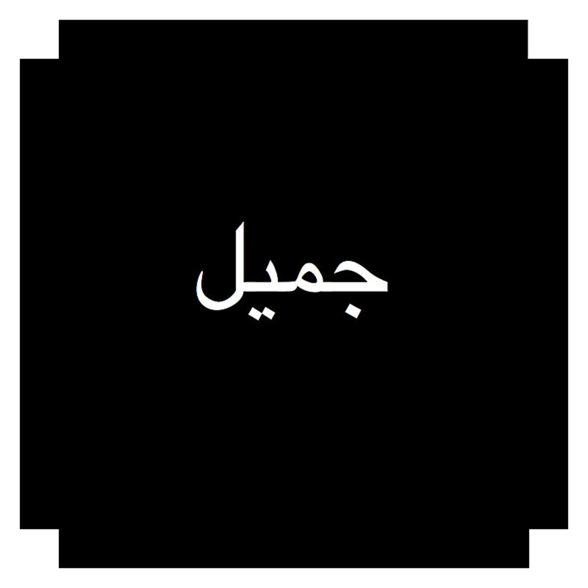 Album cover of Jhameel
