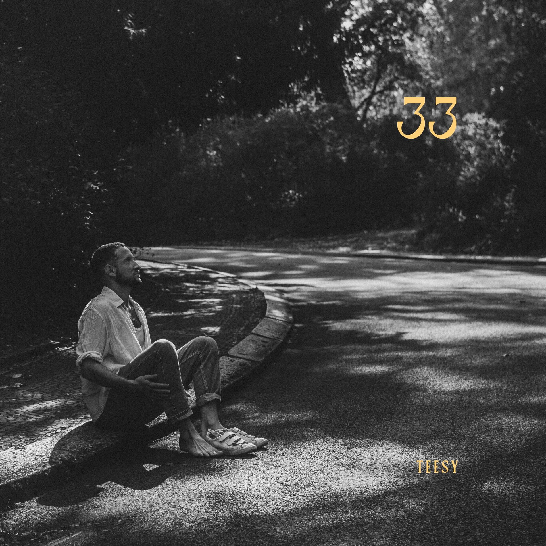 Album cover of 33
