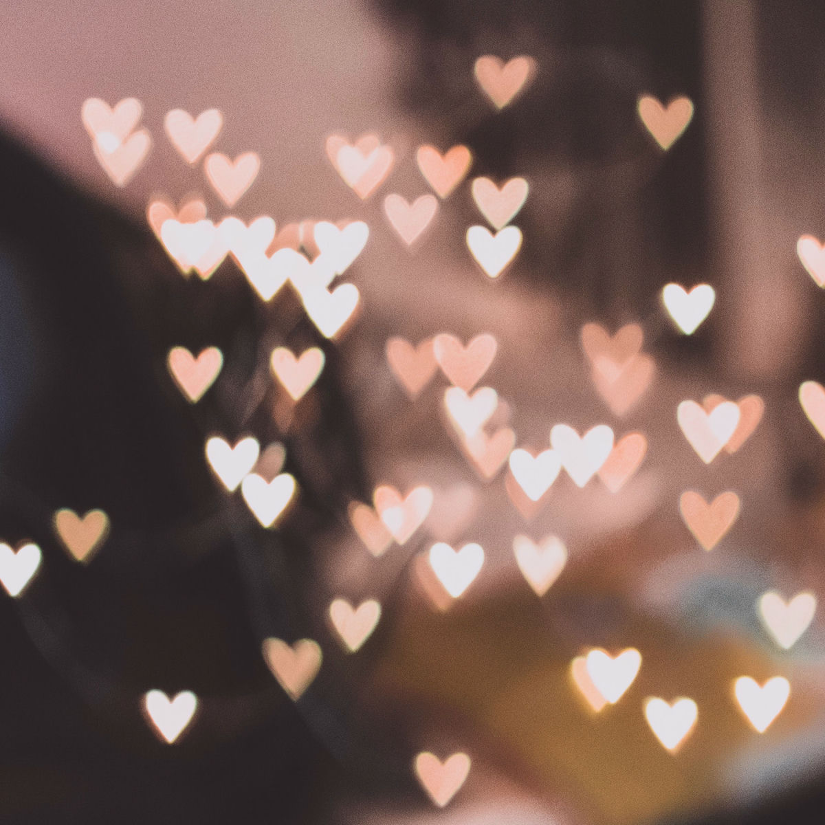 Album cover of Can't Help Falling in Love (Switching Vocals)