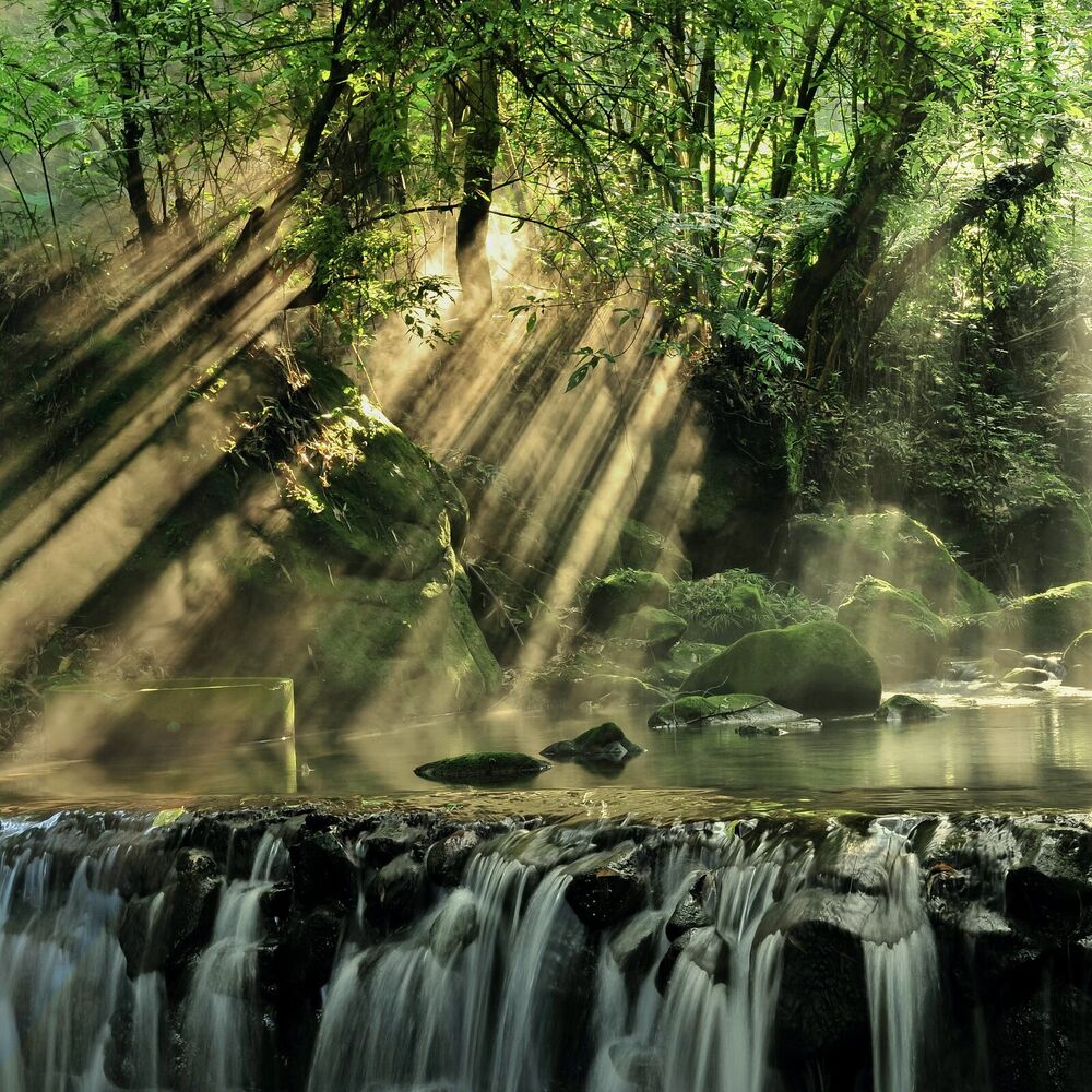 Picture of Resonant Harmony