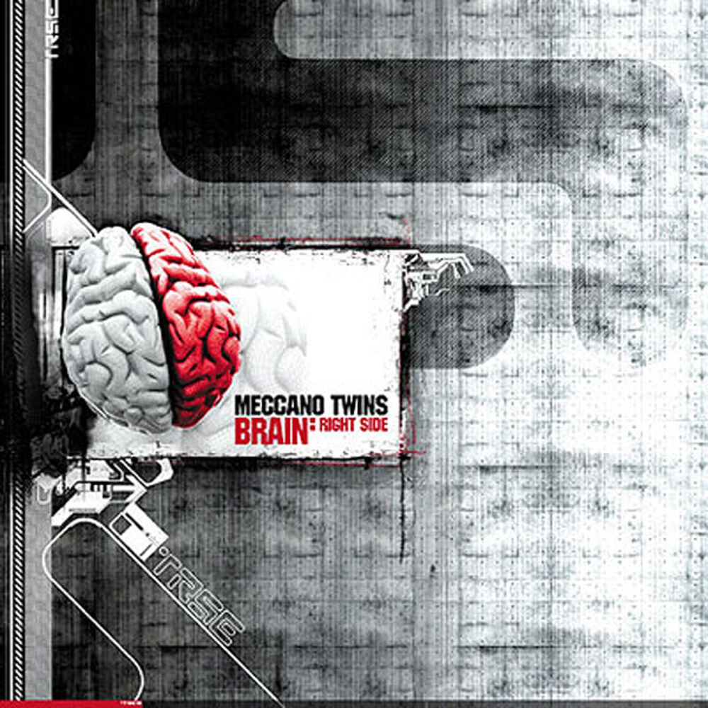Picture of Brain: right side