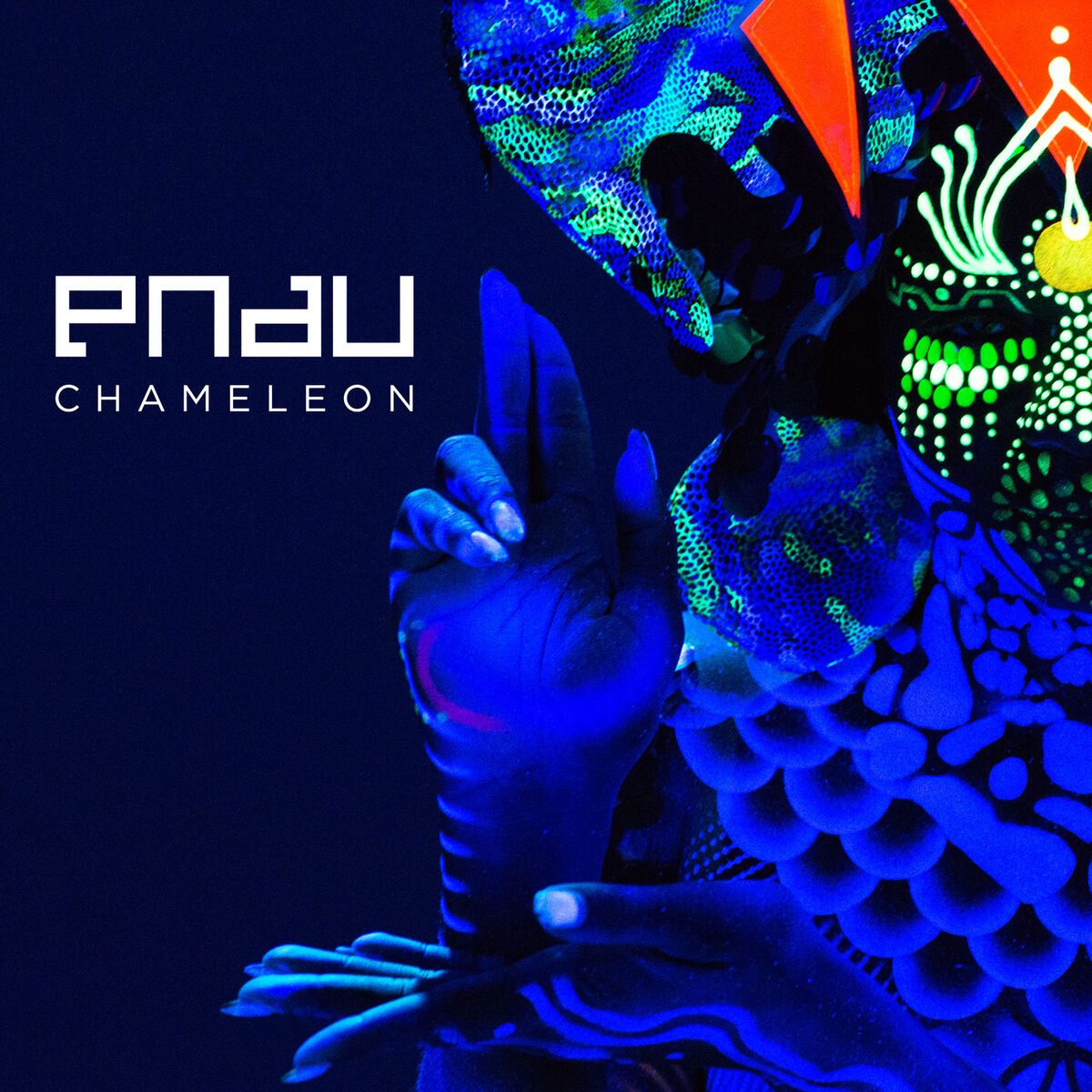 Album cover of Chameleon