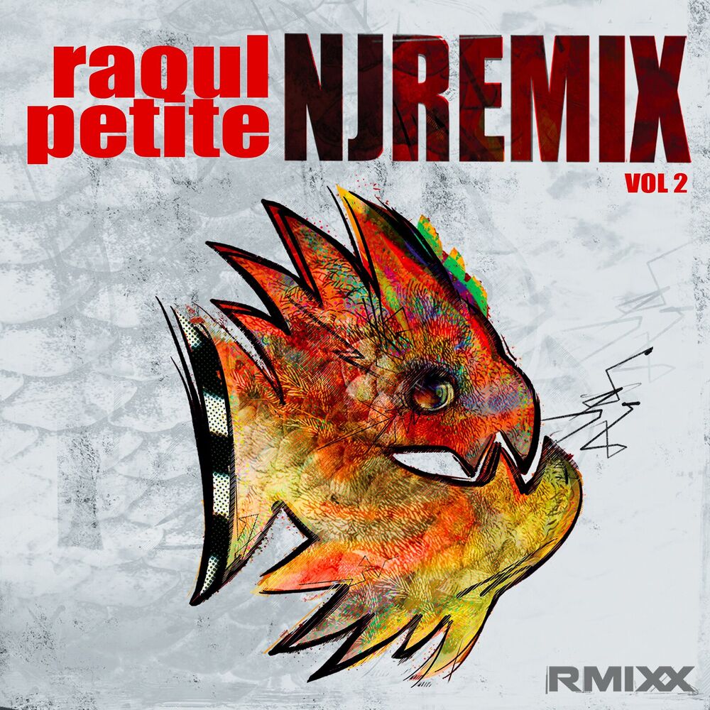 Picture of Rmixx, Vol.2 (NJ Remix)