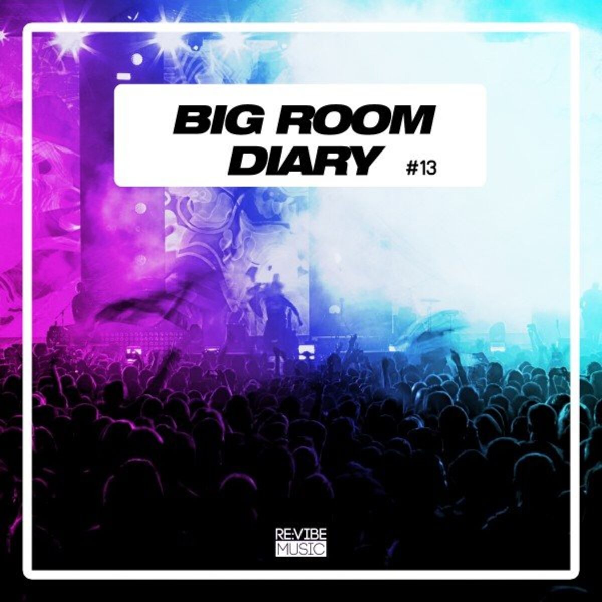 Album cover of Big Room Diary, Vol. 13