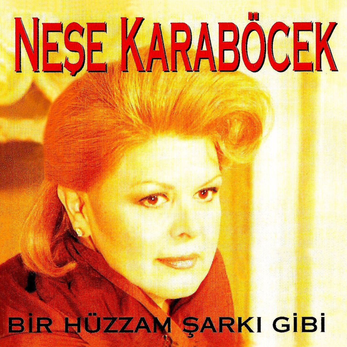 Album cover of Bir Hüzzam Şarkı Gibi